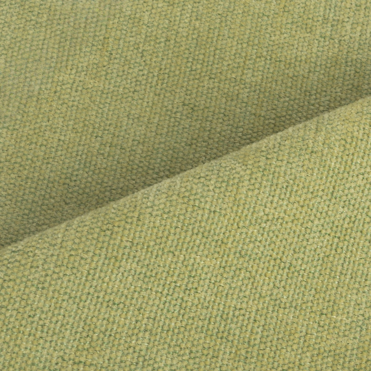 Chenille XE-06 – Oliv